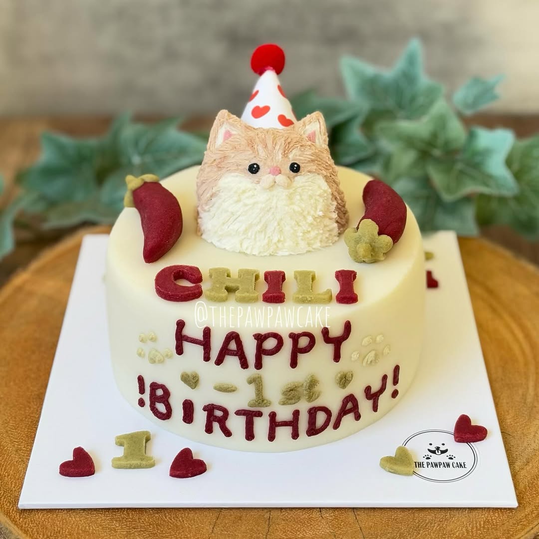 CHILI cat birthday cake